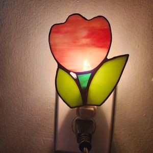 2 night lights. A flower and fruit